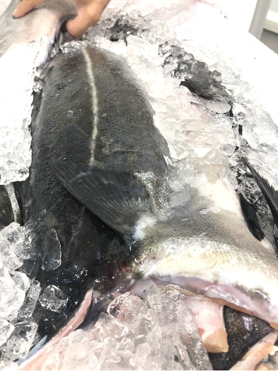 Saumon frais Marine Quality